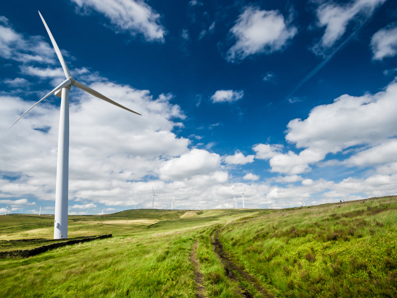 Energia wiatrowa – zalety i wady czystej energii z powietrza